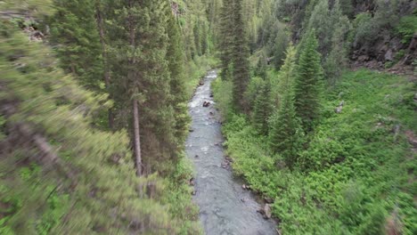 drone flies down towards a creek running down a ravine