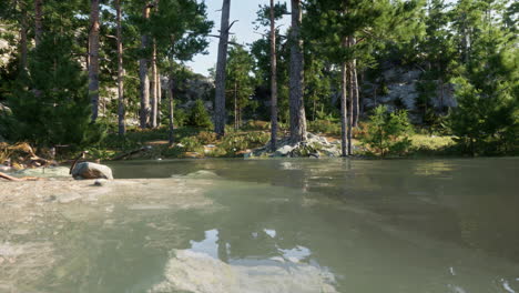 serene forest lake