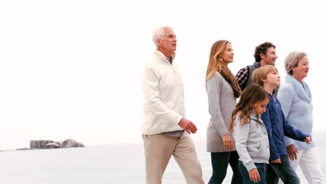 Familia-Caminando-En-Grupo