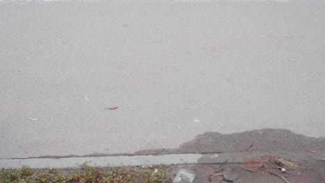 close up of woman feet in black heeled boot walking past wet tiled road with scattered leaves, capturing motion and texture of footwear and sidewalk in cool urban setting with overcast sky