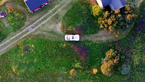 romantic couple lying and relaxing on roof of white car outside their house surrounded by colorful flowers on a cold sunny day - top-down drone pullback (ascend)
