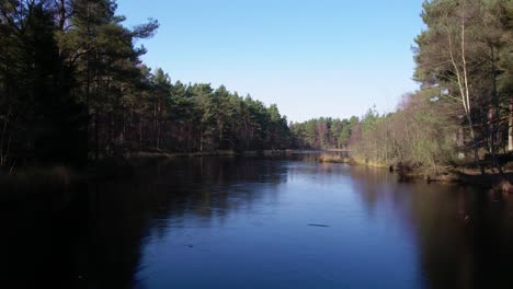 Filmische-Drohnenaufnahmen-Aus-Der-Luft,-Die-Aus-Einer-Waldplantage-Einheimischer-Waldkiefern-In-Schottland-Mit-Klarem-Blauem-Himmel-Im-Winter-Auftauchen