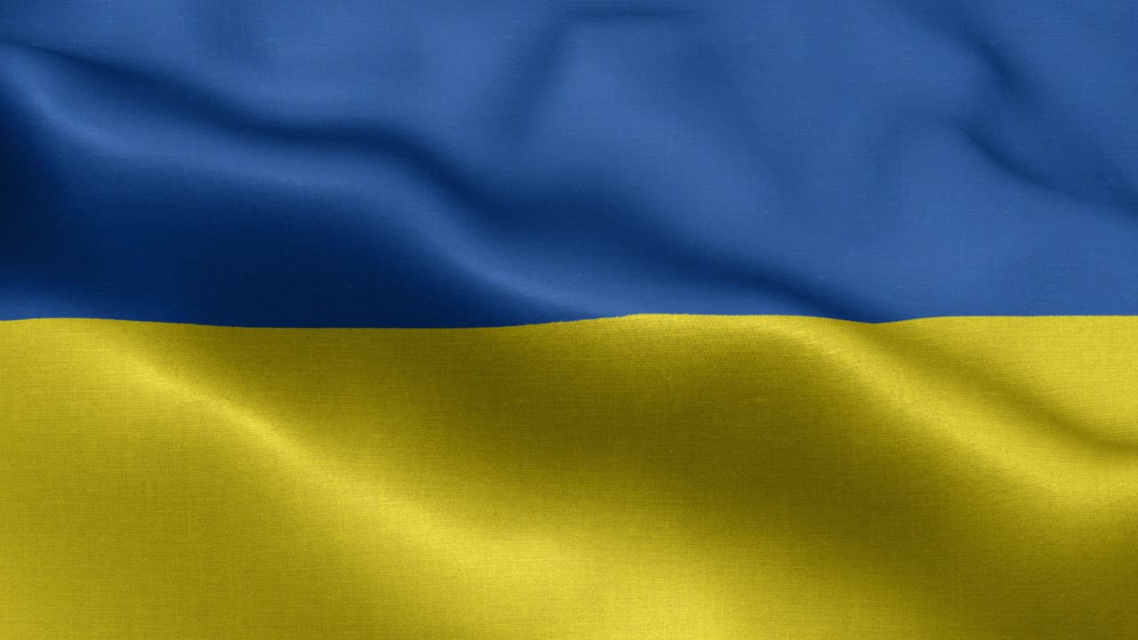 니츠의 발, 작센 - 독일 국기 발 - 독일 지방 발 발 파동 패턴 루프 가능한 요소 - 느린 동작 촬영 발-루프 준비 된 풀 스크린 발은 느린 움직임으로 흔들리고 있습니다.