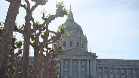 famous civic center and trees