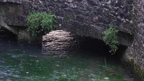 río poco profundo y cristalino que fluye bajo el antiguo arco del puente de piedra con plantas en el campo rural inglés