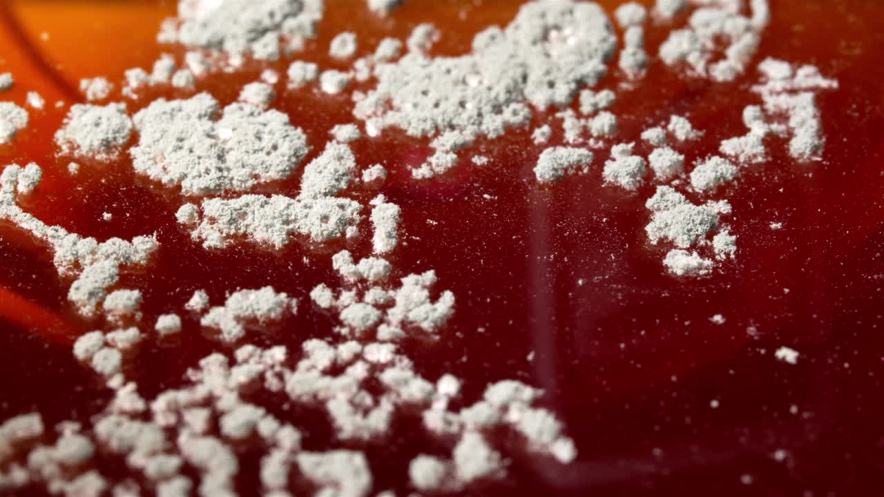 A close-up shot of a red Diet Coke can covered with mold, showing extensive fungal growth.