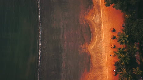 top down view of india beach at goa tropical warm weathers indian ocean arabian sea