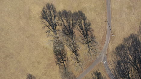 Eine-Luftaufnahme-Von-Oben-Nach-Unten-über-Einem-Offenen,-Mit-Trockenem-Gras-Bedeckten-Feld
