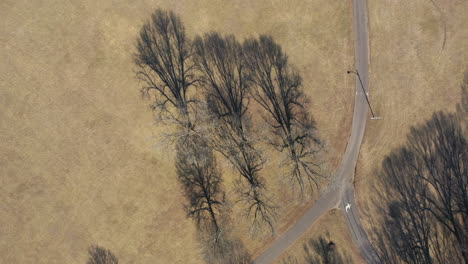 una toma aérea de arriba hacia abajo sobre un campo abierto cubierto de hierba seca