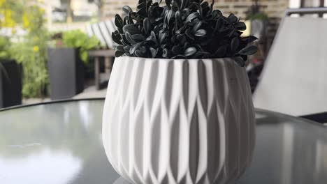a white pot on a bistro table sits on a sunny porch on a tranquil and peaceful morning