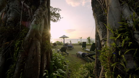 camera dolly in through banyan tree reveals sunset beach scene