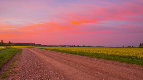 timelapse-of-countryside-empty-road-by-a-majestic-yellow-flowery-field