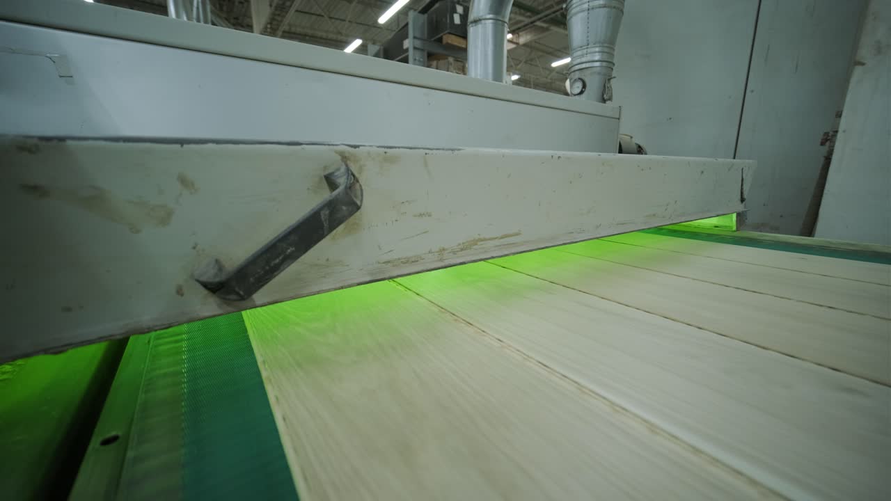 Wooden Planks Moving on Conveyor Belt in Factory