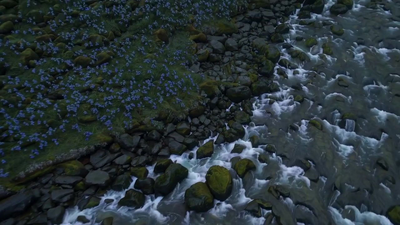 Vista aerea di un fiume che scorre accanto a un campo di fiori blu