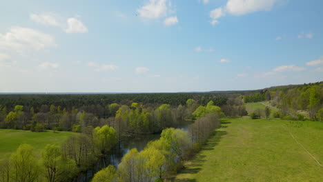 green carpet like myslcinek large park poland aerial