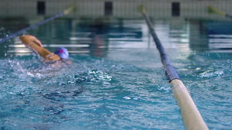 swimmers training in a swimming pool