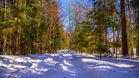 time-lapse-of-a-snow-covered-forest-road-in-a-winter-landscape-under-a-blue-sky