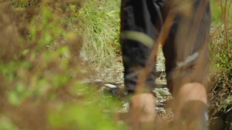 a trail runner is hiking up a path in slow motion