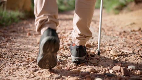 espalda, pies y bastón para caminar