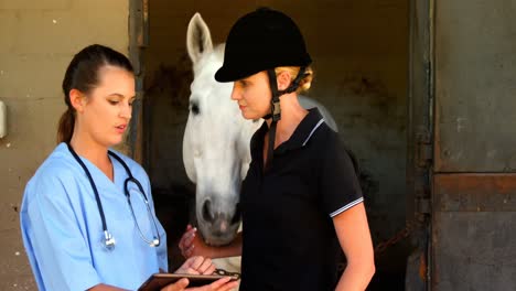 veterinario y mujer interactuando mientras usan tableta digital 4k