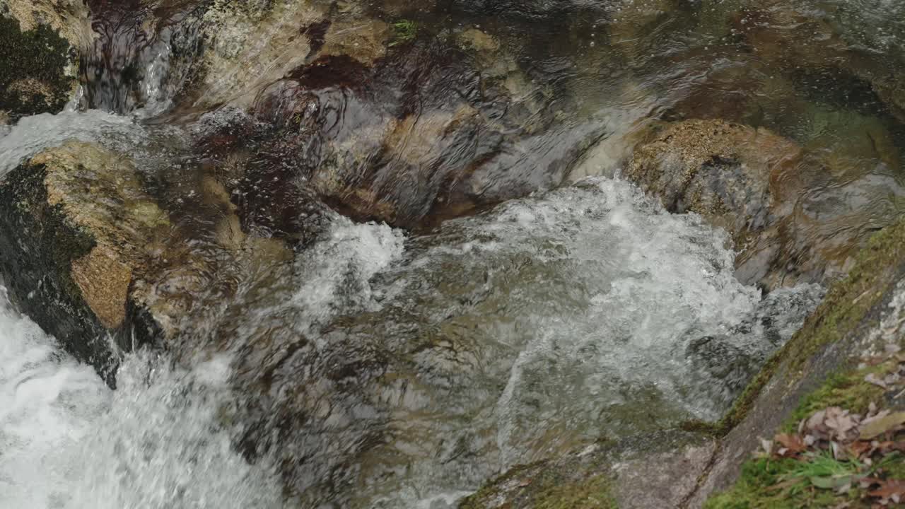 Torrente di montagna impetuoso su rocce muschiose