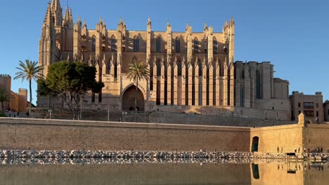 La-Catedral-De-Palma-De-Mallorca,-España,-En-Una-Espléndida-Tarde-De-Primavera-Con-Una-Cálida-Luz-De-La-Tarde-Y-Una-Cálida-Luz-De-La-Tarde