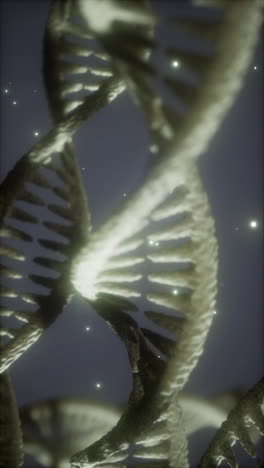 double helix dna molecule with stars in the background