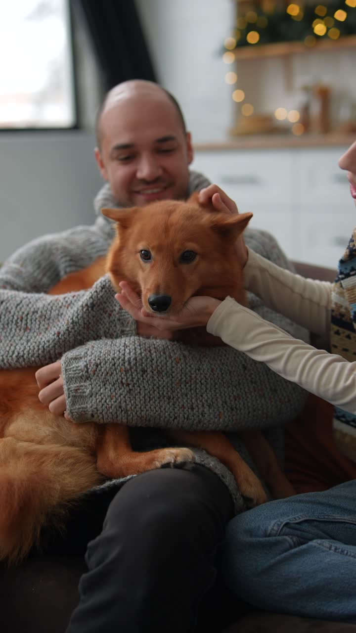 familia disfrutando de la navidad con su perro