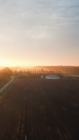 sunrise over a dutch farmland