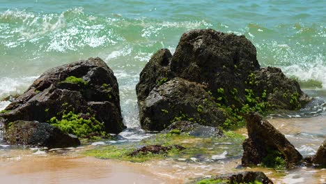 Las-Olas-Golpean-La-Costa-Rocosa-Con-Mucho-Musgo-En-El-Mar