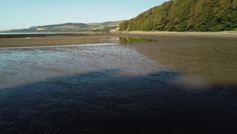 Ein-Schwan-Badet-Am-Strand