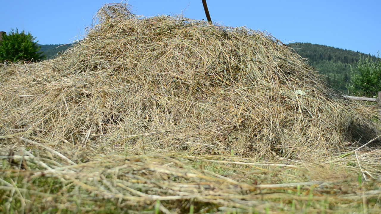 Hooi op een weide. Landelijk landschap