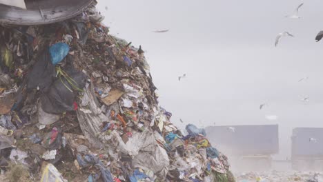Vehicles clearing rubbish piled on a landfill full of trash