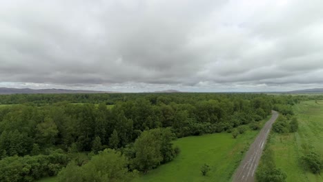 aerial view of a green forest and dirt road on a cloudy day