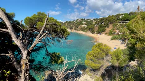 Costa-Brava-Wunderschöner-Jungfräulicher-Strand-Mit-Durchsichtigem-Türkisfarbenem-Wasser-üppige-Vegetation-Aus-Kiefern-Und-Felsen-Gelber-Sand-Katalonien-Mittelmeer-Panoramische-Aussichten-Tossa-De-Mar-Bucht-Llevad?