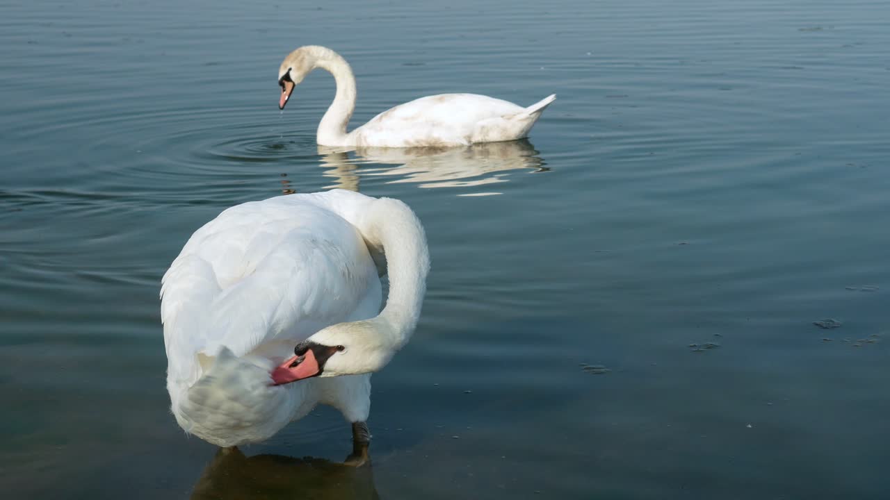 canada lake ontario summer water lakeshore toronto etobicoke water humber