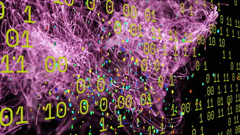 animation of binary coding and network of connections