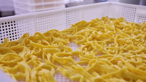 spaetzle egg noodles process laying out to dry in tray, mass production spatzle factory