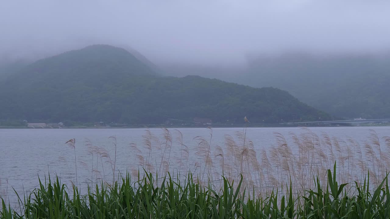 일본 고지대 후지산 주변의 안개