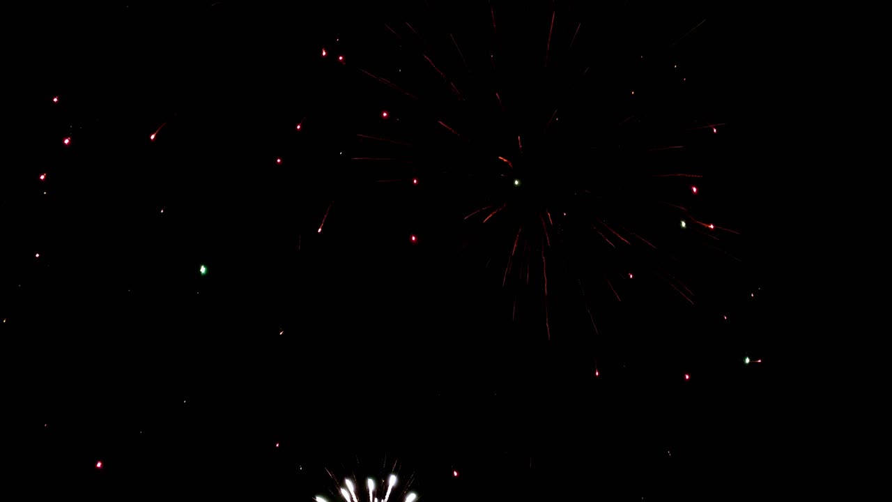 Pearl, brocade, coconut and comet style fireworks all going off against a dark, cloudless night sky