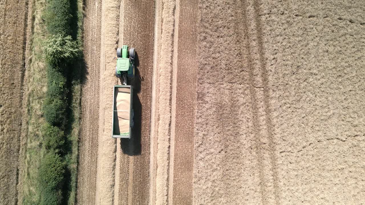 Riprese aeree di un trattore che miete un campo di grano