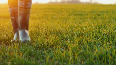 a farmer in rubber boots walks across a green field only legs are visible in the frame steadicam fol