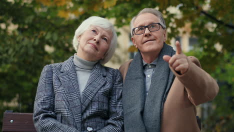 elderly couple sitting on the bench in the park, the man points upwards showing it to his wife 1