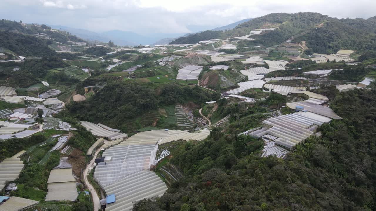 vista general del paisaje del distrito de brinchang dentro del área de cameron highlands de malasia
