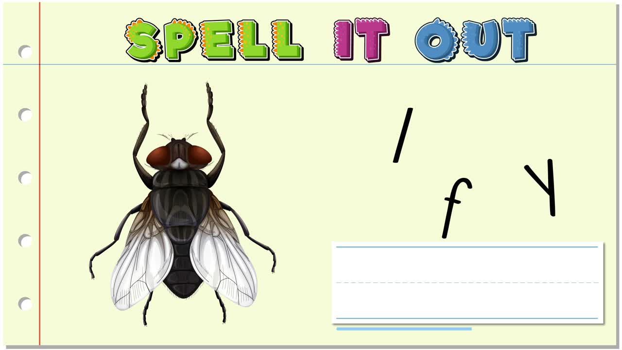 Animation of letters forming the word 'fly' alongside an image of a fly. Bright colors and playful style