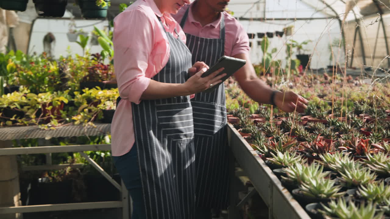 Diverse gardeners in aprons using tablet while inspecting plants in greenhouse nursery