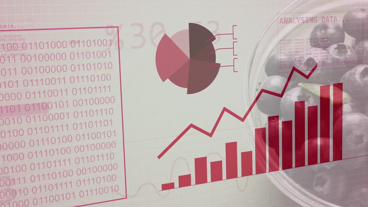 Infographic globe appearing rings orbiting code filling bars rising showing rise by blueberries