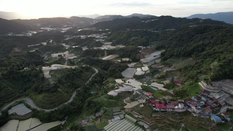 general landscape view of the brinchang district within the cameron highlands area of malaysia