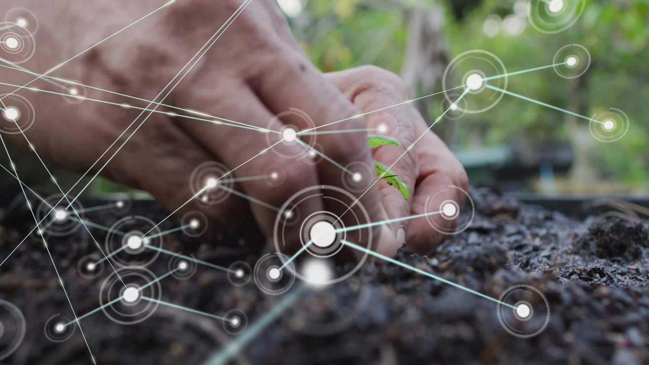 Giardiniere che pianta una piantina per l'agricoltura, posizionando le radici mentre una rete HUD cresce e collega il terreno.