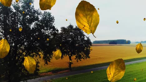 Digital-composition-of-multiple-autumn-leaves-icons-falling-against-aerial-view-of-grassland